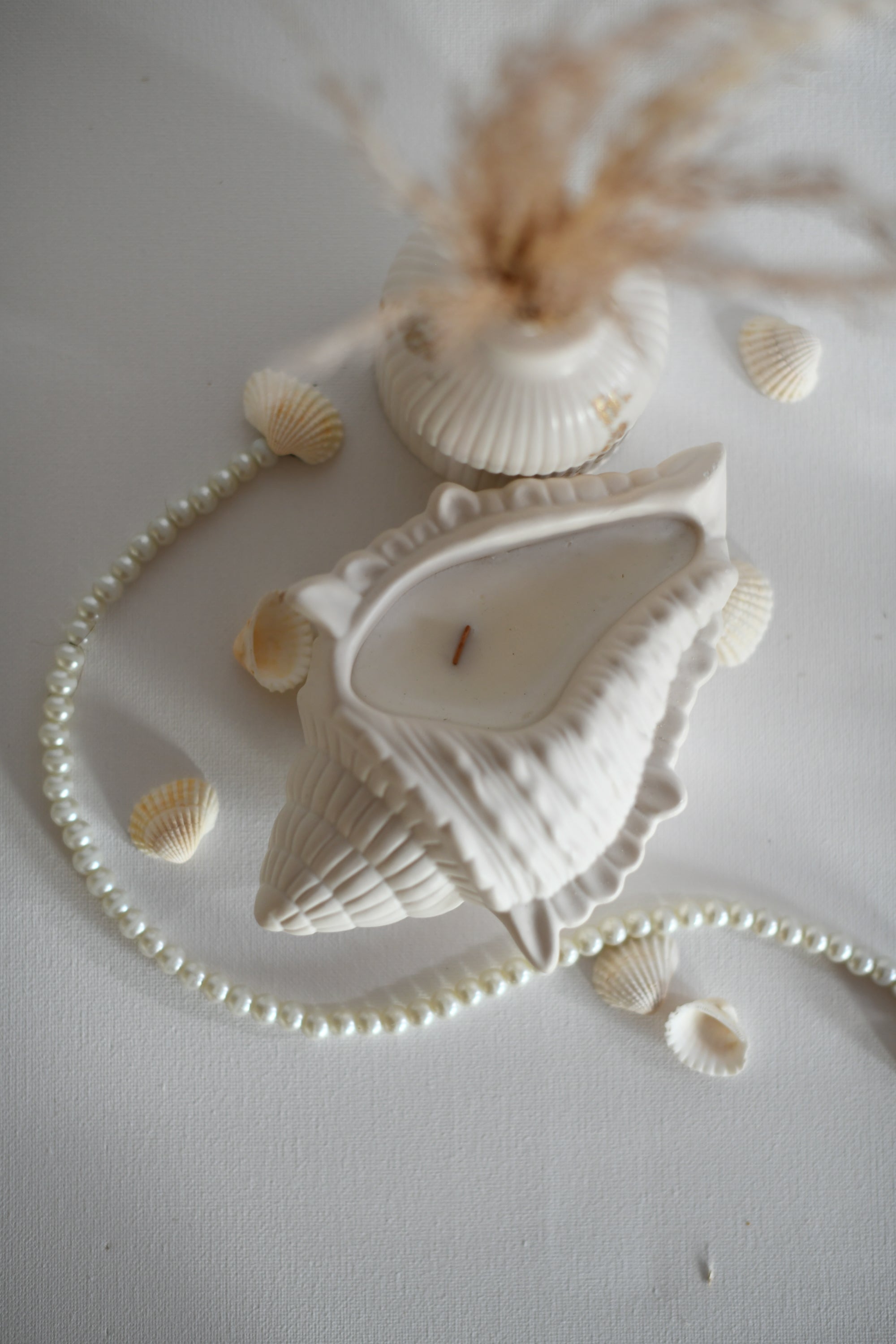 Sea Shell gyertyatartó - L