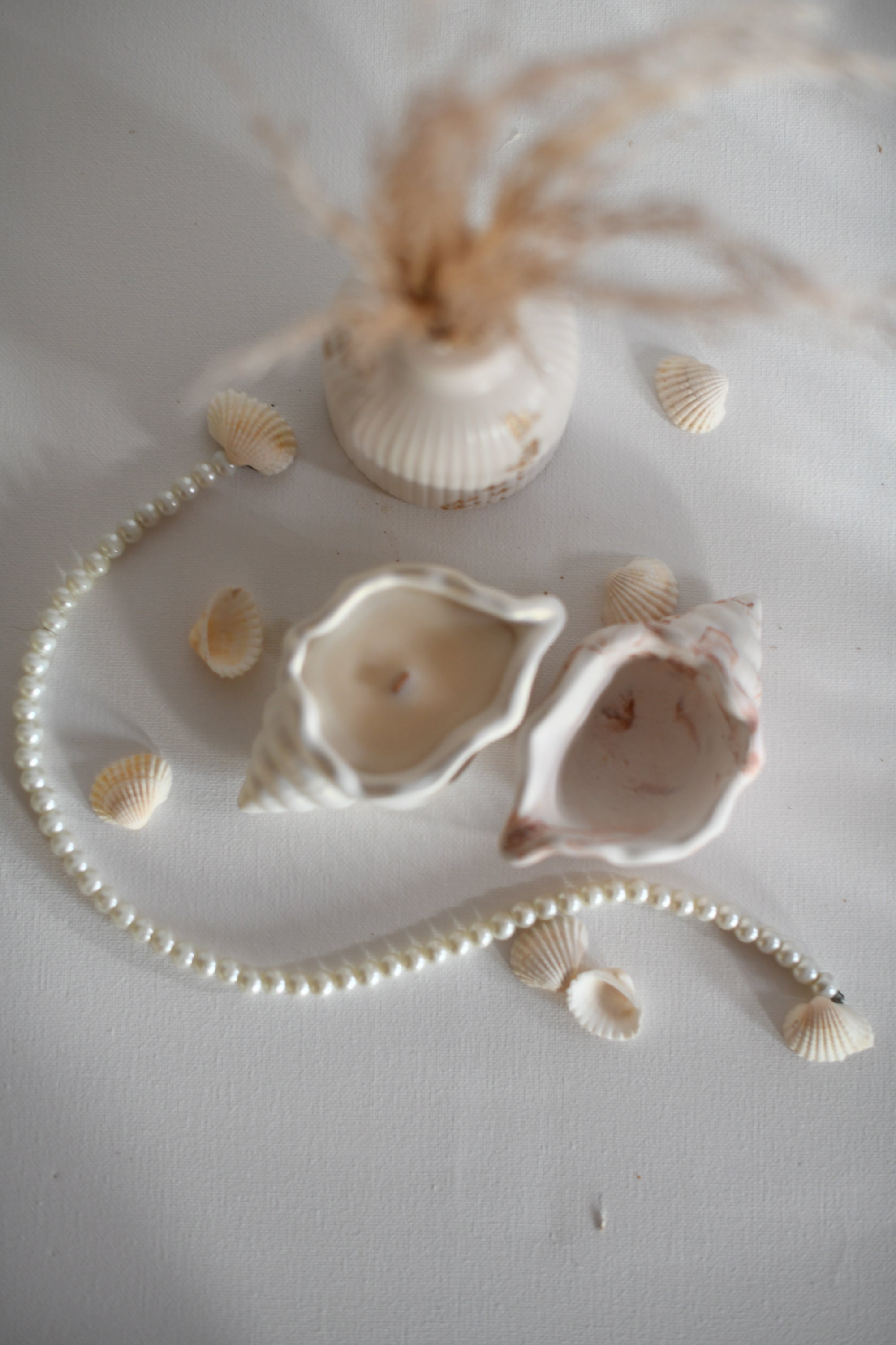 Sea Shell gyertyatartó - S