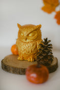 Kép betöltése a Galéria nézőbe, Moonlight Owl gyertyatartó
