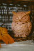 Kép betöltése a Galéria nézőbe, Moonlight Owl gyertyatartó
